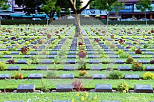 World war II cemetery in Kanchanaburi, Thailand.