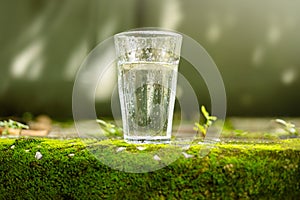 World Water Day Concept. Water Drink Glass. Freshness and Cold. Surrounded by Green Moss and Natural Morning Sunlight