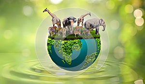 World Wildlife Day img