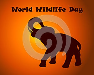 World wildlife day text with elefant silhouette on sunset background . Vector illustration for poster, banner, card