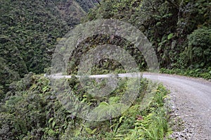 Death road, Camino de la Muerte, Yungas North Road between La Paz and Coroico, Bolivia photo