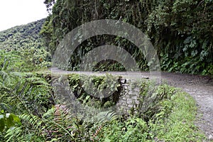 Death road, Camino de la Muerte, Yungas North Road between La Paz and Coroico, Bolivia photo