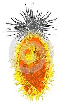 The worlds of Nagual -7