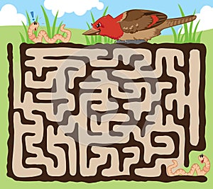 Worm and bird maze game
