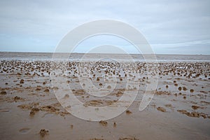 Worm casts on Bridlington beach