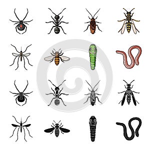 Worm, centipede, wasp, bee, hornet .Insects set collection icons in black,cartoon style vector symbol stock illustration