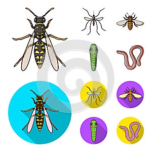Worm, centipede, wasp, bee, hornet .Insects set collection icons in cartoon,flat style vector symbol stock illustration