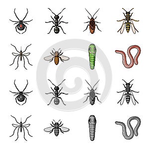 Worm, centipede, wasp, bee, hornet .Insects set collection icons in cartoon,monochrome style vector symbol stock