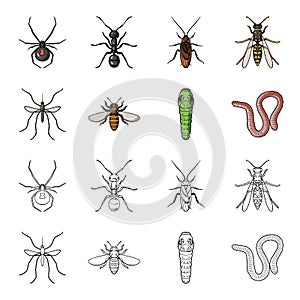 Worm, centipede, wasp, bee, hornet .Insects set collection icons in cartoon,outline style vector symbol stock