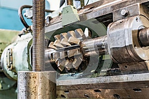 Worm cutter for the manufacture of gears on a gear cutting machine