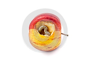 worm is eating apple