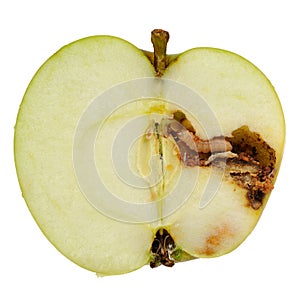 Červ jesť jablko na bielom 