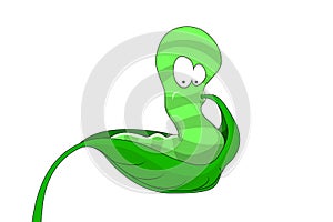 Worm Eating Leaf Vector