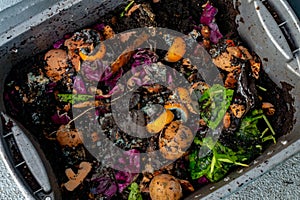 Worm farm compost with rotting food looking down