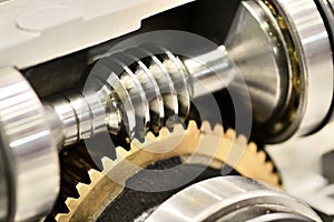 Worm gear or worm drive tramsission photo