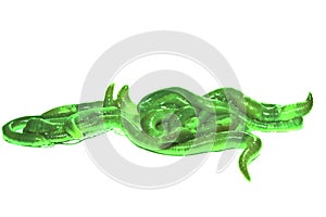 Worm isolated on white background