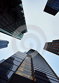 Worm`s eye view architecture in New York