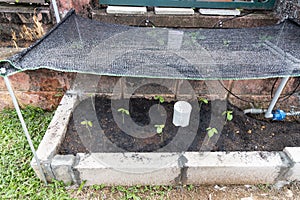 Worm tower for vermicompost installed on raised garden bed with new okra plants planted.