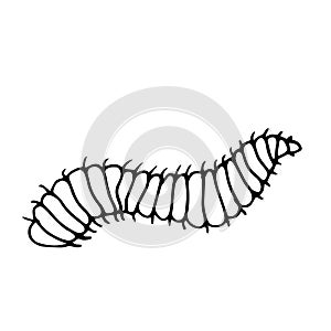 Worm. Vector illustration of an insect. A Doodle style sketch .