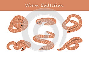 worm vector illustration set. Cute worm isolated on white background.