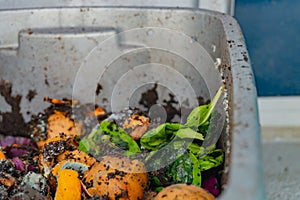 Worm vermiculture compost with breathing holes in a gray bin