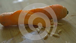 Worms Crawling over a Carrot