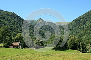 Wormsa valley in Alsace