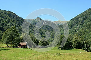 Wormsa valley in Alsace