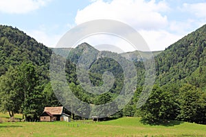 Wormsa valley in Alsace