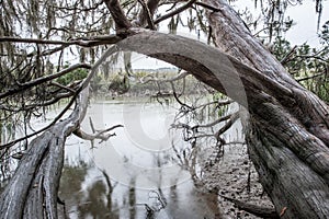 Wormsloe Historic Site