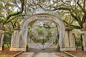 Wormsloe Plantation Historic Site near Savannah, Georgia