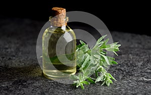 Wormwood absinth organic oil