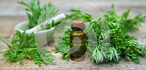 Wormwood essential oil in a small bottle. Selective focus.