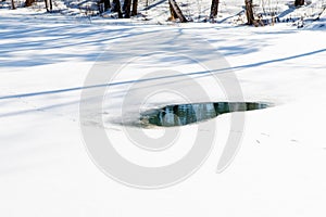 Wormwood on a frozen river