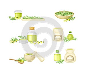 Wormwood or Southernwood Plant with Essential Oil in Bottle and Candle Vector Composition Set photo