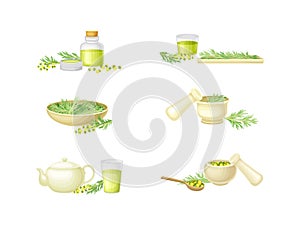 Wormwood or Southernwood Plant Extraction and Herbal Tea in Mug Vector Composition Set
