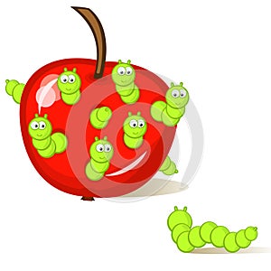 Wormy apple
