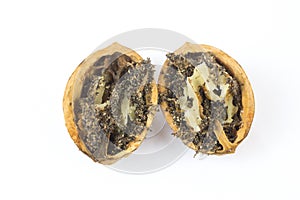 Wormy walnut on white