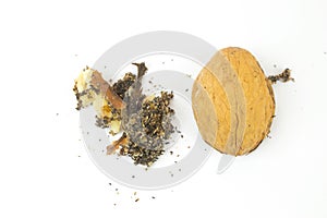 Wormy walnut on white