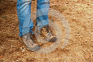 Worn and dirty work shoes with bluejeans scrunched at top with worn and stained knees - cropped legs of man standing on straw and