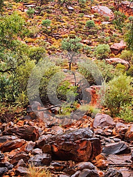 Worn and Eroded Red Rocks, Kings Canyon, Red Centre, Australia