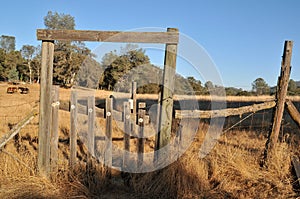 Worn Fence Field Gate