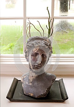 Worn Head Planter With Cactus In Front of Window on Rainy Day