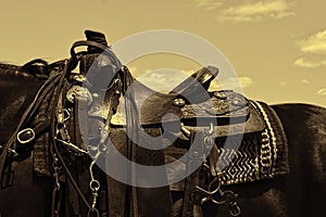 Worn leather western horse saddle