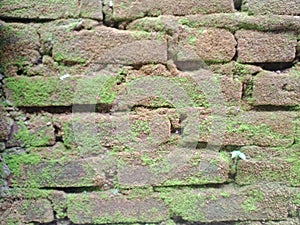 Worn, old and mossy red brick walls