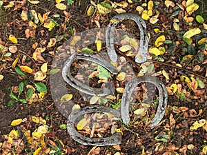 Worn out manual hammered horseshoe after change in grass