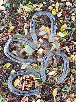 Worn out manual hammered horseshoe after change in grass