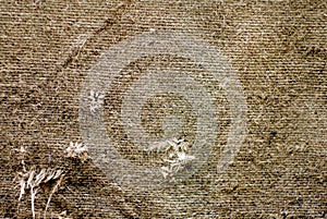 Worn out, old sack texture