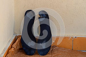 Worn-out shoe insoles on paper, showing the hopeless situation of refugees trying to illegally enter the country, bypassing border photo