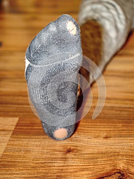 Worn out socks with holes and toes sticking out photo